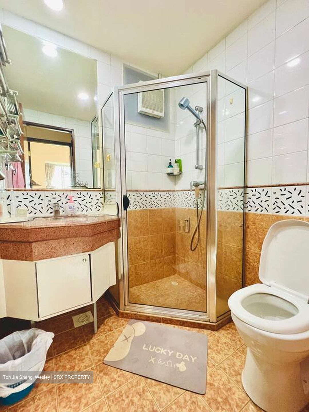 Sunshine Plaza (D7), Apartment #504039091